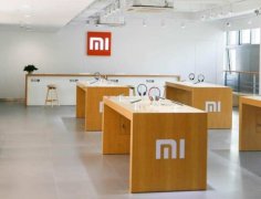 您可以或许打制一个充满活力、专业且受